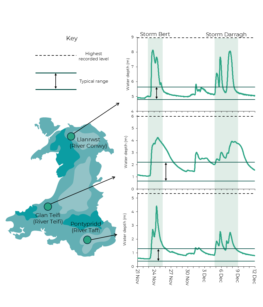 A graphic showing water depths over time in the River Conwy, River Teifi, and River Taff between 21 November and 12 December 2024. All three rivers had a rapid increase in water levels during Storm Bert, peaking slightly below record high levels. Water levels decreased to within the normal range after a week. During Storm Darragh, the Conwy and Teifi rivers reached similar peaks as were seen during Bert, but the maximum value in the Taff was only about half as high.