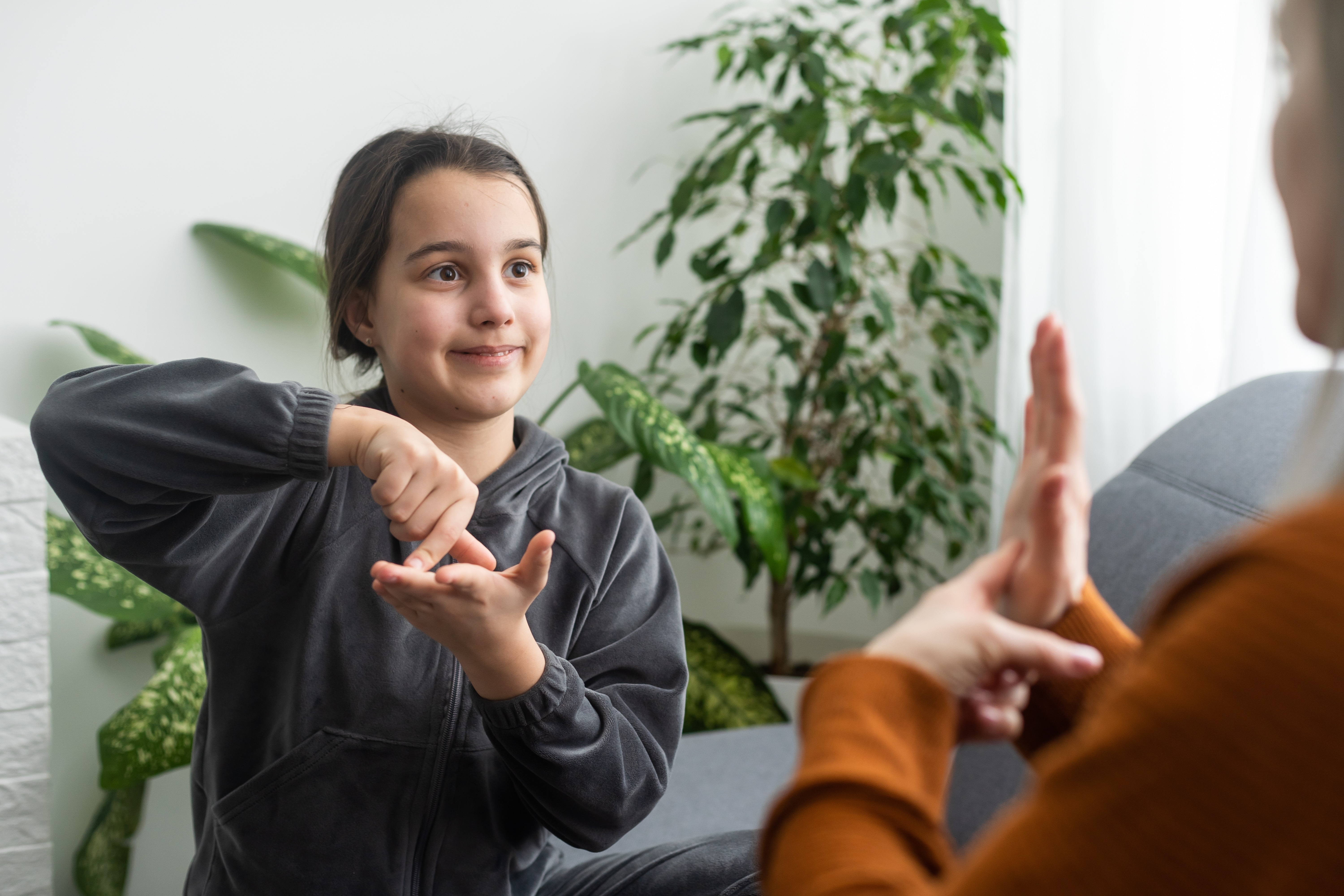 How did the British Sign Language (Wales) Bill change at Stage 2?