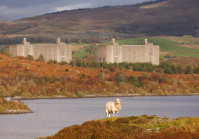 A landscape photograph of Trawsfynydd nuclear power station, with a lake and a sheep in the foreground.