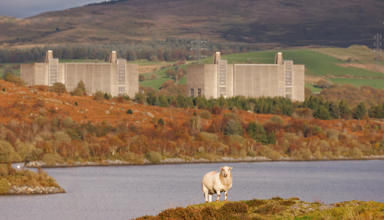 A landscape photograph of Trawsfynydd nuclear power station, with a lake and a sheep in the foreground.
