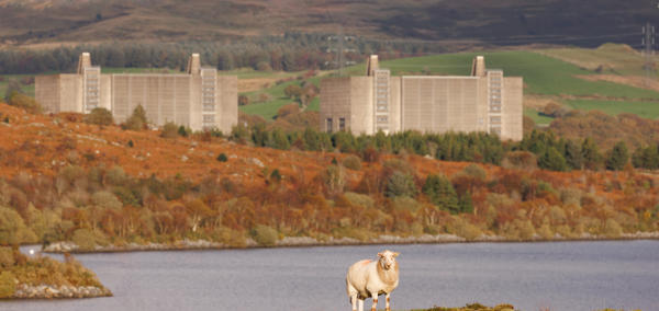 A landscape photograph of Trawsfynydd nuclear power station, with a lake and a sheep in the foreground.