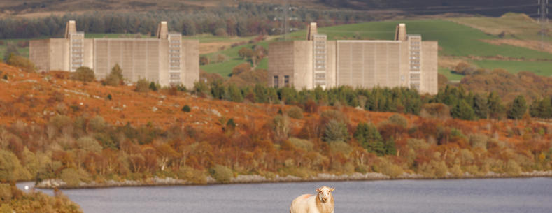 A landscape photograph of Trawsfynydd nuclear power station, with a lake and a sheep in the foreground.