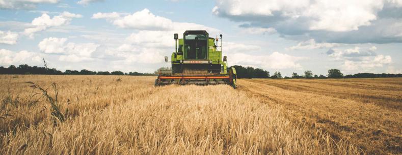 Combine harvester in a field