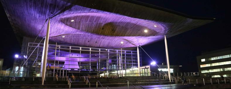 An image of the Senedd building at night, lit up in purple.