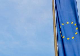 The article’s main image is of an EU flag in colour to the right hand side of the image, hanging vertically. The flag is in focus with a blurred background. 