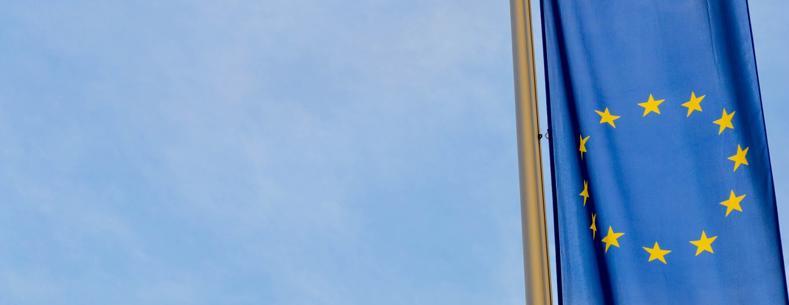The article’s main image is of an EU flag in colour to the right hand side of the image, hanging vertically. The flag is in focus with a blurred background. 