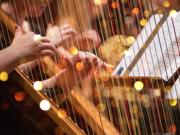 A close-up photo of someone playing a harp.