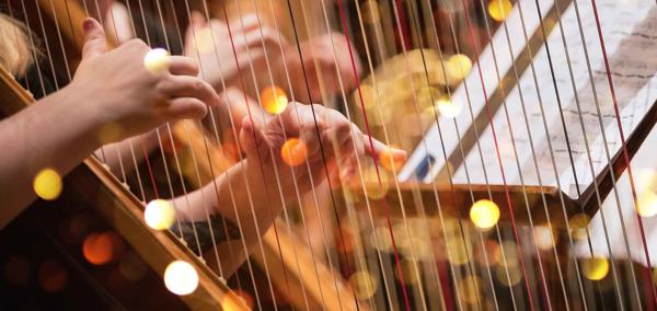 A close-up photo of someone playing a harp.