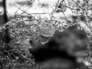 Image of broken glass 