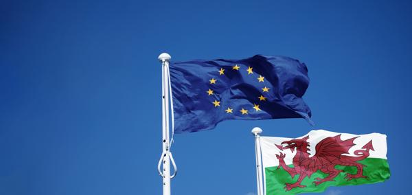 The article’s main image is of Welsh and EU flags against a blue sky.
