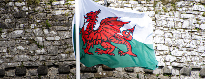 The cover image is of a Welsh flag flying in front of a castle wall.