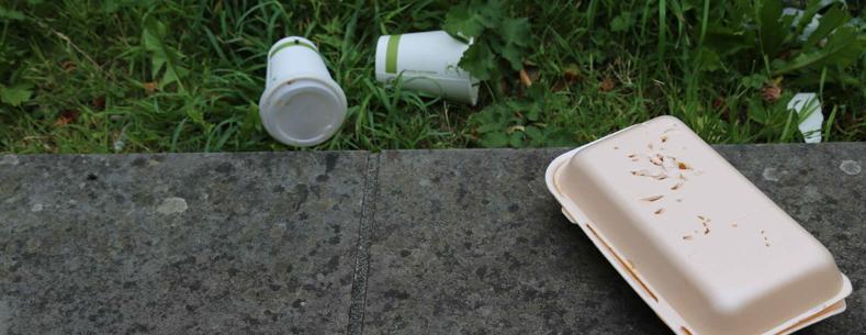 Discarded polystyrene and plastic fast food rubbish polluting a beautiful park in Bangor, Gwynedd, Wales