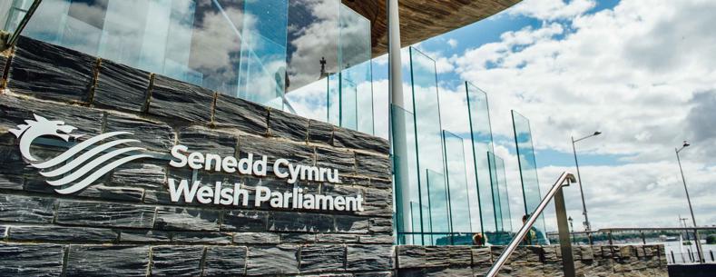 Senedd Wales