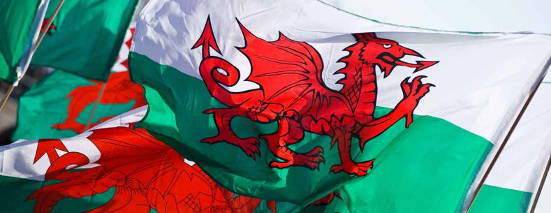 Several Welsh flags flying.
