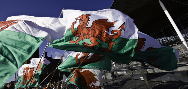 A crowd of people waving Welsh flags outside the Senedd