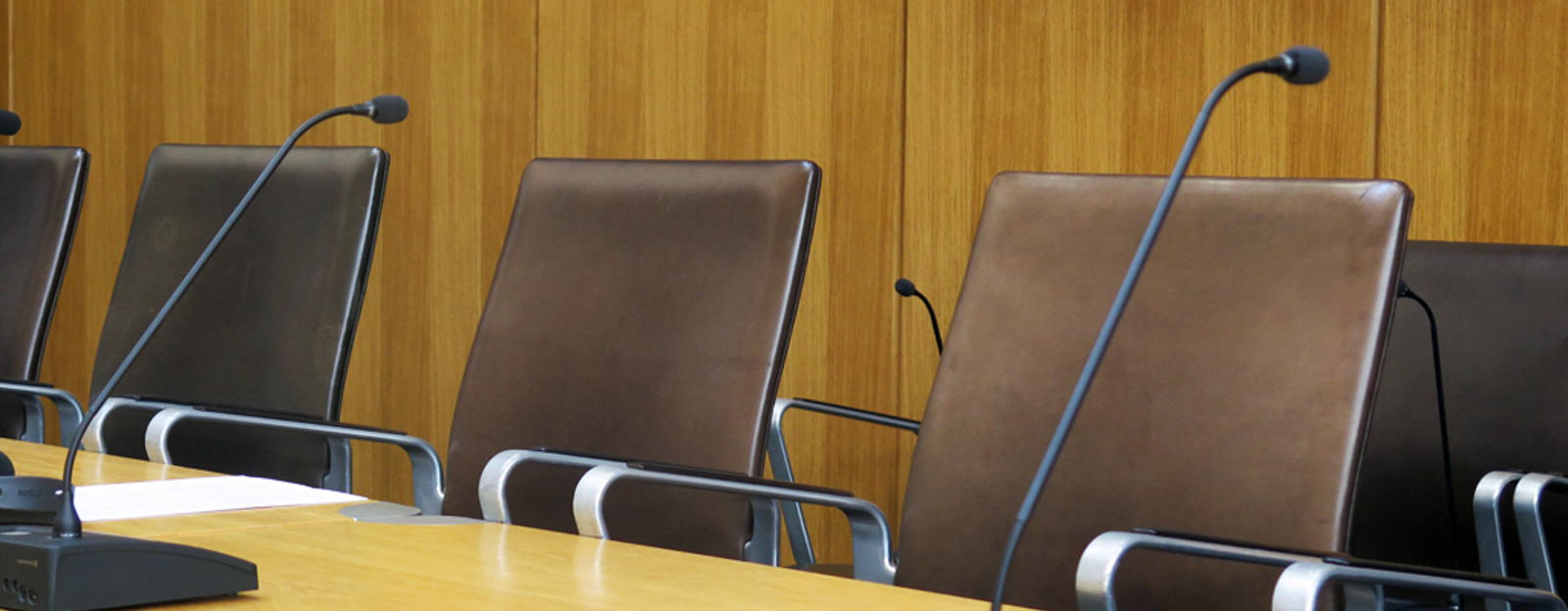 The Assembly moves to electing its Committee Chairs