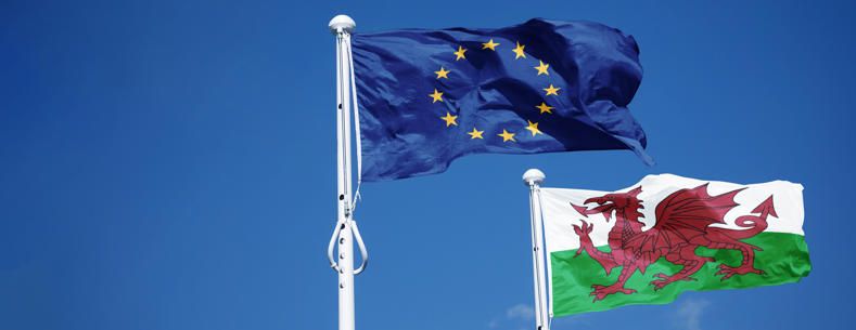 EU and Wales flags