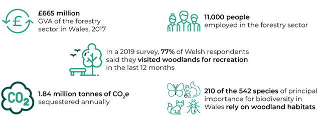 1.	Figure of key statistics on woodlands in Wales: £665 million GVA; 11,000 people employed in the sector; 77% of Welsh respondents visited woodland for recreation in 2019; 1.84 million tonnes of CO2e is sequestered annually by woodlands; 210 of the 542 species of principal importance for biodiversity in Wales rely on woodland habitats.