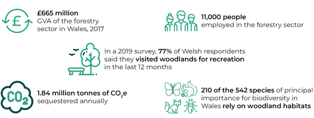 1.	Figure of key statistics on woodlands in Wales: £665 million GVA; 11,000 people employed in the sector; 77% of Welsh respondents visited woodland for recreation in 2019; 1.84 million tonnes of CO2e is sequestered annually by woodlands; 210 of the 542 species of principal importance for biodiversity in Wales rely on woodland habitats.