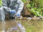 Taking a water sample