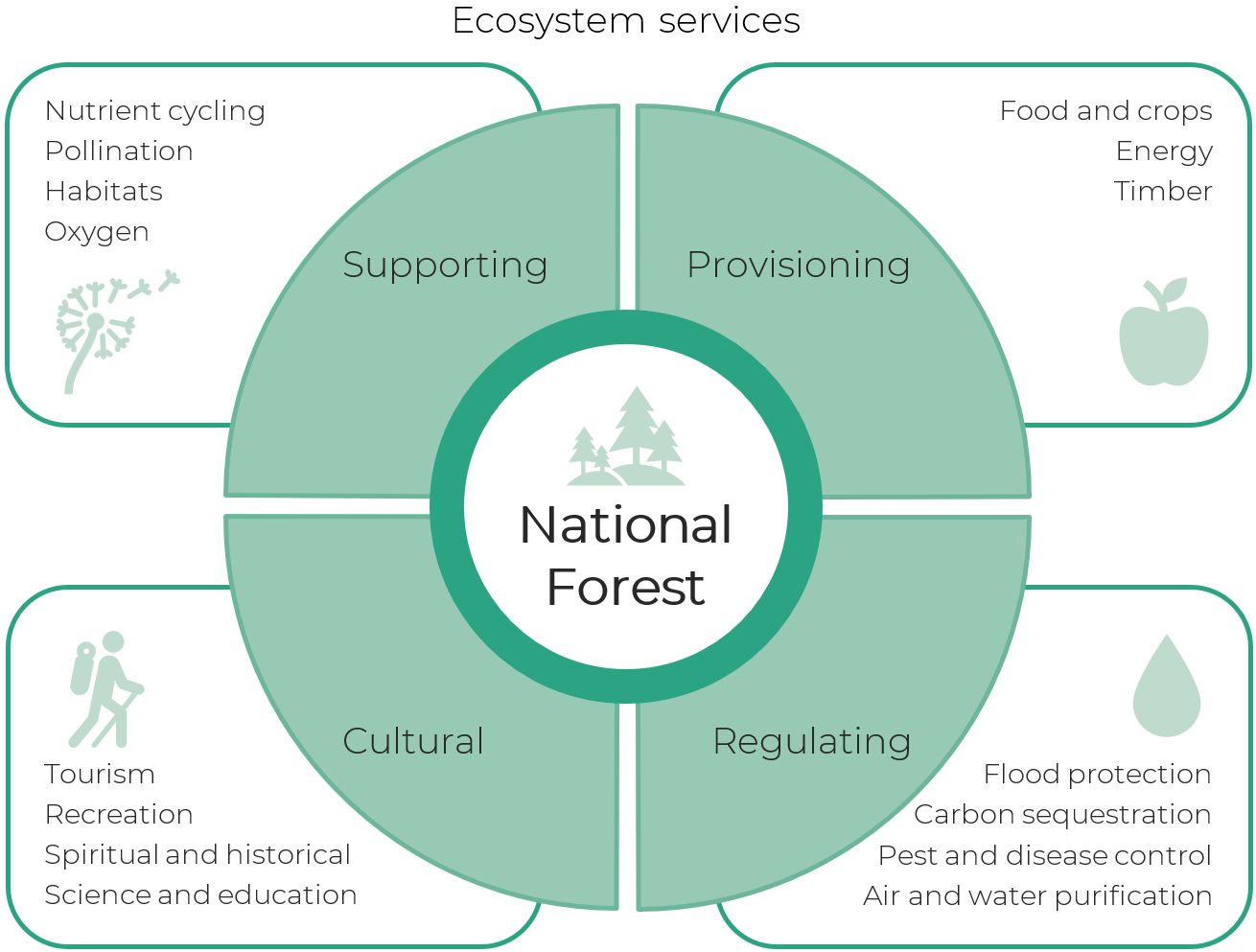 Figure showing the four categories of ecosystem services, supporting, provisioning, regulating, and cultural, as well as examples of how these could be delivered by a National Forest.