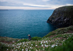 A landscape photograph of a puffin on a cliffside above the sea.