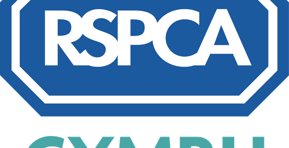 RSPCA Cymru announce record number of Community Animal Welfare Footprint  scheme winners in Wales