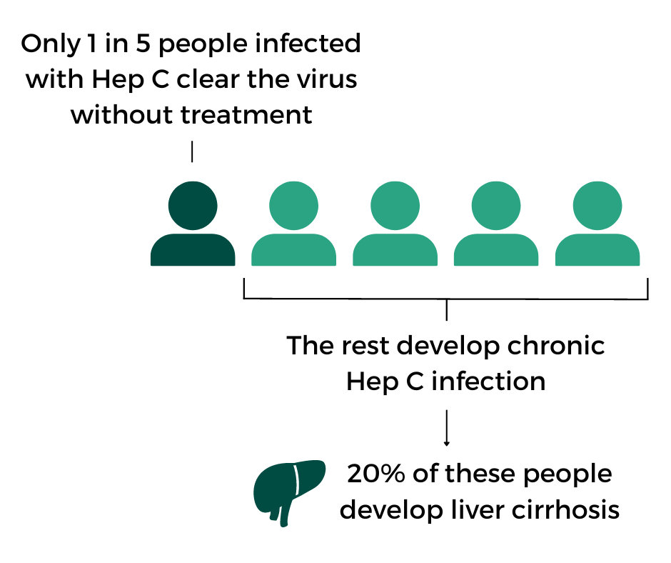 An infographic showing 1 in 5 people infected with Hep C can clear the virus, while the rest develop chronic infection. 20% of people with chronic infections develop liver cirrhosis.